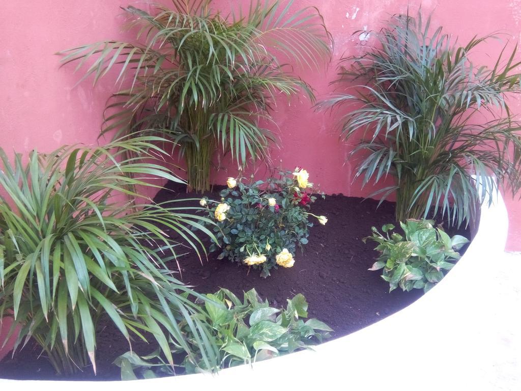 Casa Mazejuwi Hotel Campeche Zewnętrze zdjęcie